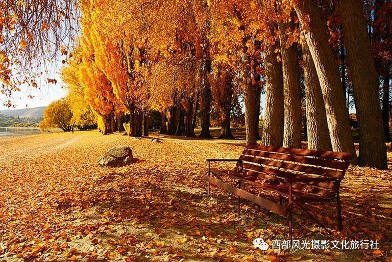 尽享酷狗音乐版本2022知识星球,汇聚精英分享