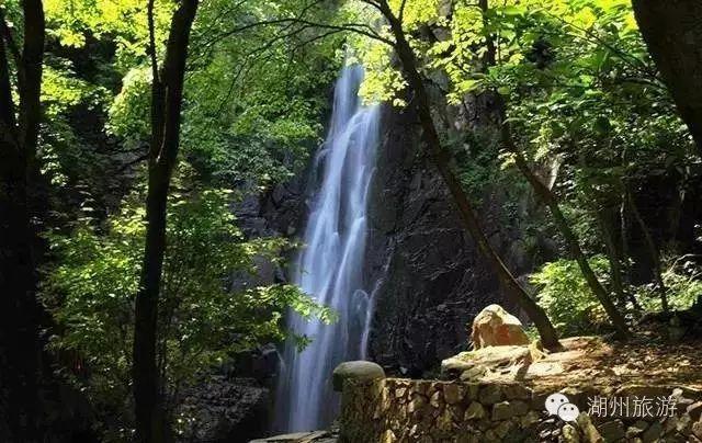虫虫助手下载